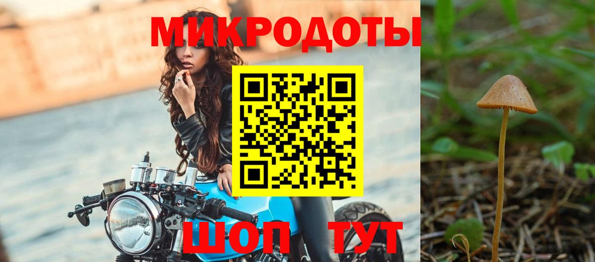 Партизанск  Псилоцибиновые грибы мухоморы  Вход с VPN 